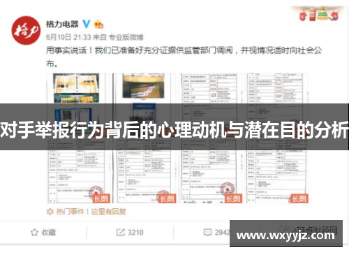 对手举报行为背后的心理动机与潜在目的分析
