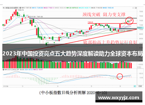 2023年中国投资亮点五大趋势深度解读助力全球资本布局