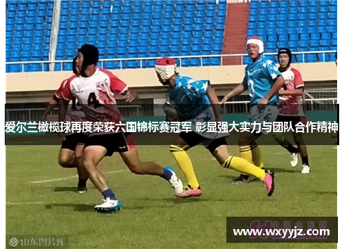 爱尔兰橄榄球再度荣获六国锦标赛冠军 彰显强大实力与团队合作精神